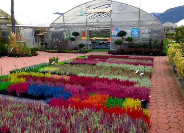  Vrtnarstvo Lončarek - Predstavitev 